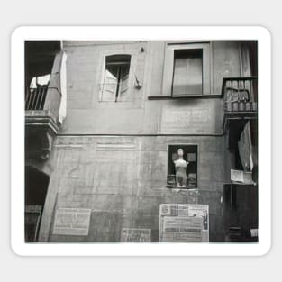 barcelona 1932 - Dora Maar Sticker